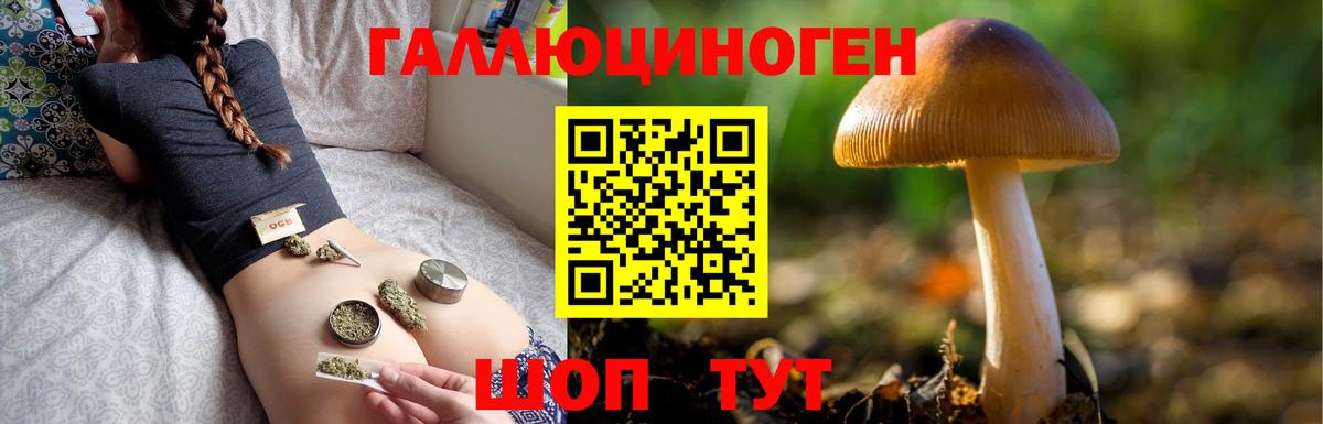 Псилоцибиновые грибы мицелий  Галлюциногенные грибы прущие грибы  Дюртюли  сколько стоит  Вход с VPN 